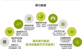 富硒健康新動力，產(chǎn)業(yè)盛會譜新章——聚焦2017第十四屆上海富硒食品產(chǎn)業(yè)博覽會及其酒店管理服務(wù)